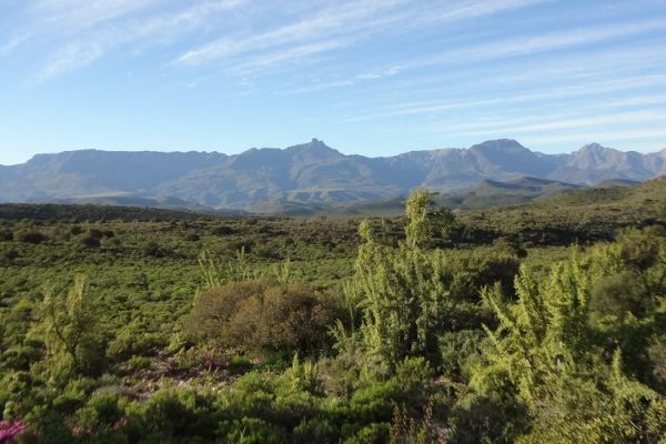 Buffelsdrift Conservancy