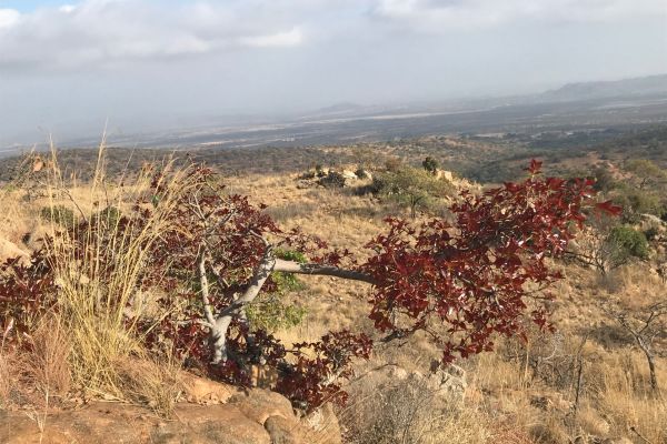 De Wildt Adventure Trails