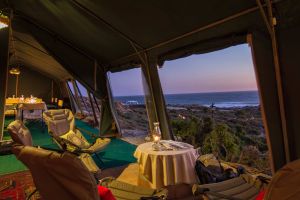 Namaqua Flower Beach Camp