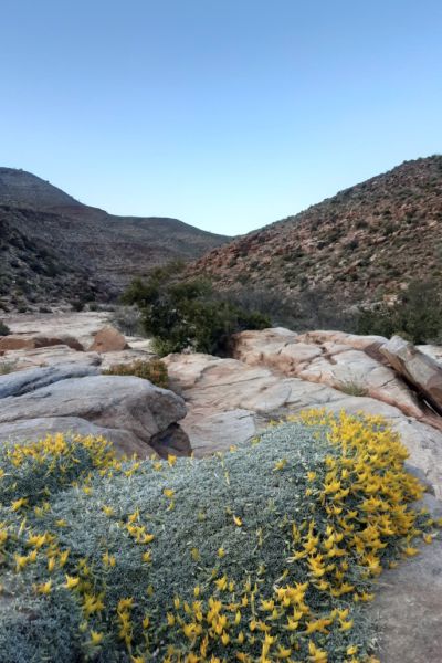 Schaap River Canyon Hike