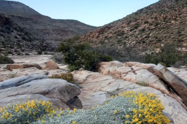 Schaap River Canyon Hike