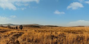 Kololo Game Reserve