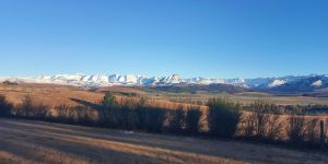 Dragons Landing Horse Trails and Farm Stay