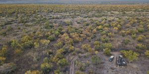 Mabula Nature Reserve