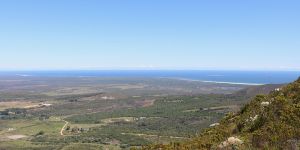 The Fynbos Trail