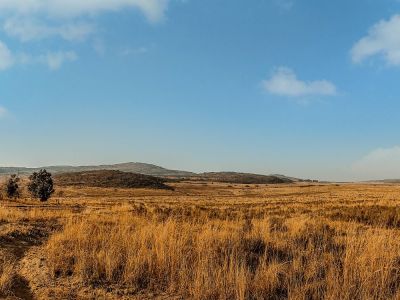 Kololo Game Reserve