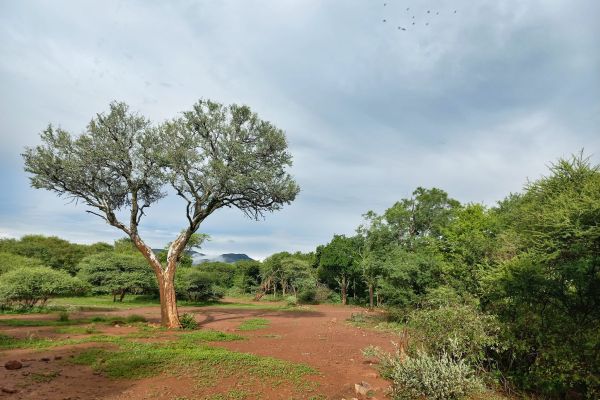 Ben Alberts Nature Reserve