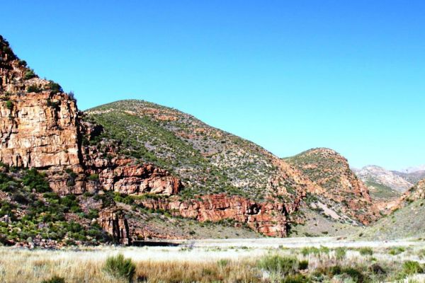 The Leopard Trail