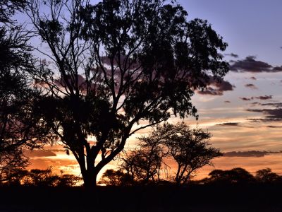 Rooipoort Nature Reserve