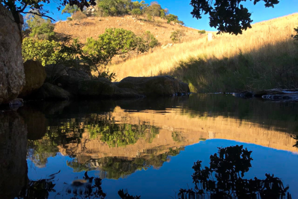 Blue Wildebeest Hiking Trail