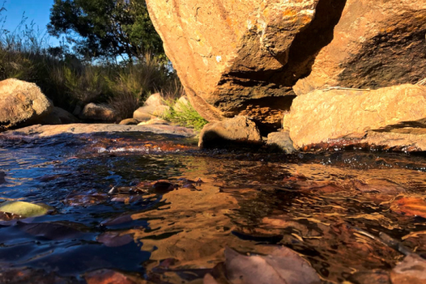 Blue Wildebeest Hiking Trail
