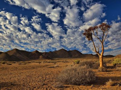 Hikes outside a reserve (Northern Cape)
