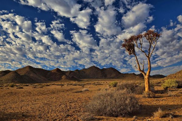 Northern Cape