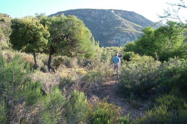 Waterkloof Hiking Trial, Baviaanskloof