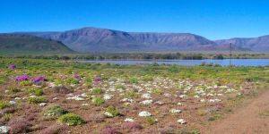 Ymansdam Farm Campsites