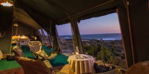 Namaqua Flower Beach Camp