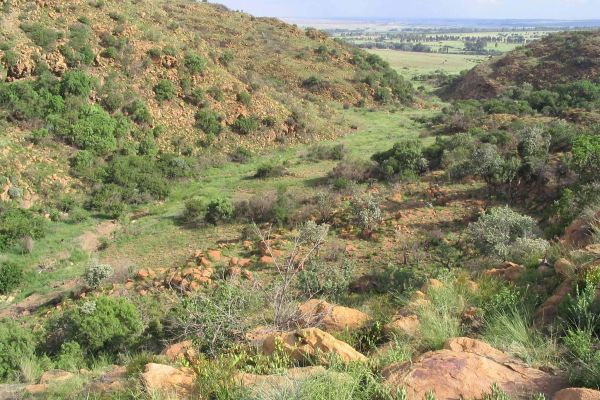 Suikerbosrand Nature Reserve