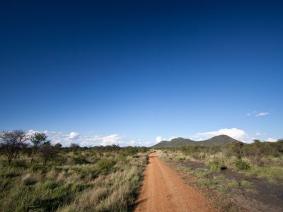 Madikwe Game Reserve