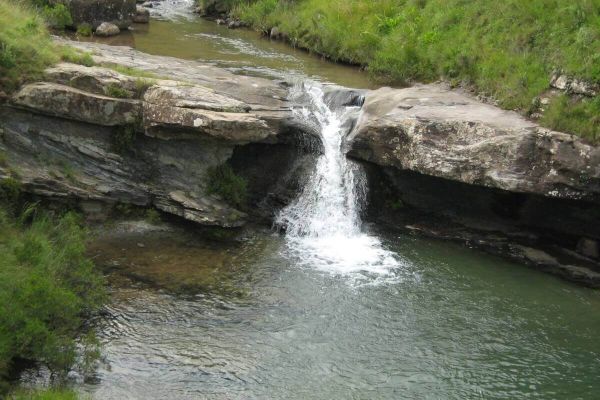 Cedric's Pool