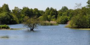 Nooitgedacht Dam Nature Reserve