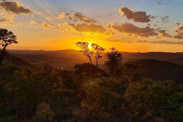 Thwane Bush Camp