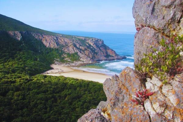 Tsitsikamma Hiking Trail