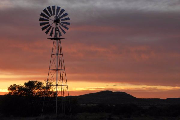 Bankfontein