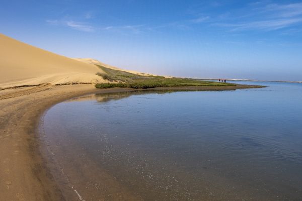 The Namib100 Hike