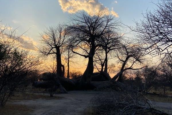 Nyae Nyae Bushman Hiking Safari