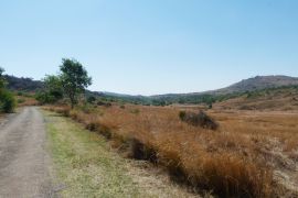 Groenkloof Yellow Trail