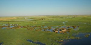 Mahango Game Reserve