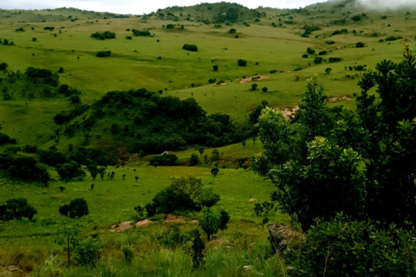 Blue Wildebeest Hiking Trail