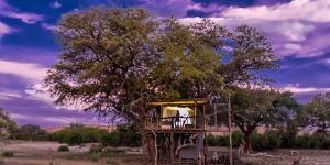 Tree House, Etosha