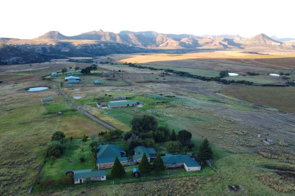 Willowdene Guest Farm