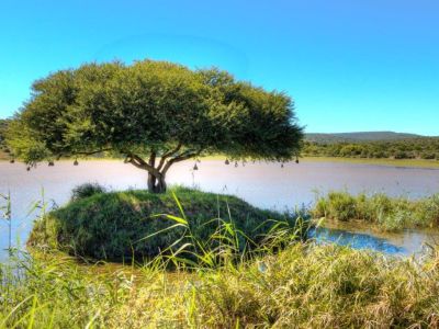 Great Fish River Nature Reserve