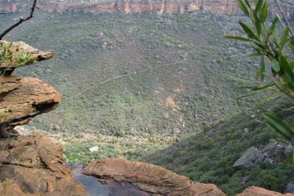 Oorlogskloof Rock Pigeon Trial