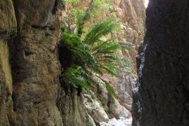 Waterkloof Hiking Trial, Baviaanskloof