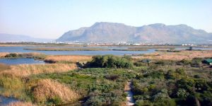 Rondevlei Nature Reserve
