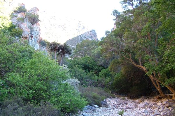 Waterkloof Hiking Trial, Baviaanskloof