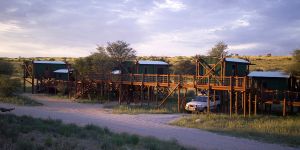 Kgalagadi Transfrontier Park