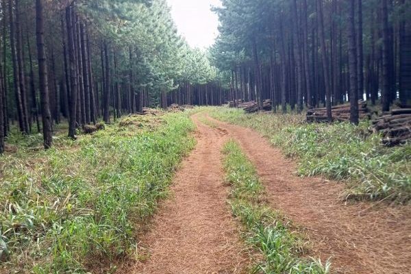 Uitsoek Hiking Trail