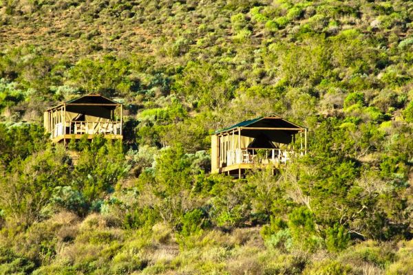 Agama Tented Camp