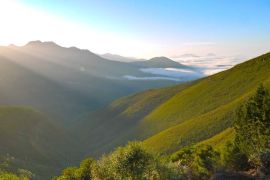 Outeniqua Hiking Trail