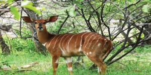 Schuinsdraai Nature Reserve