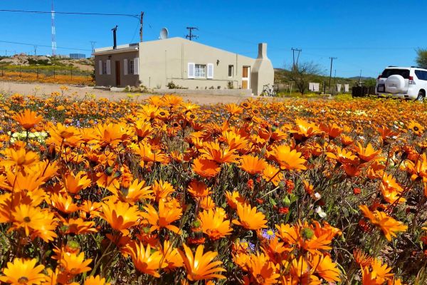 Cara Family Home @ Kamieskroon Cosy Cottages