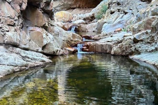 The Leopard Trail