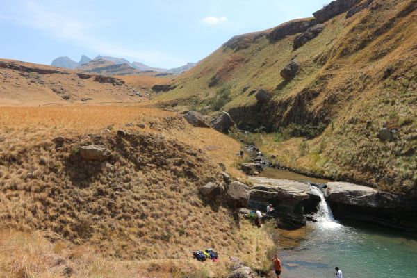 Cedric's Pool