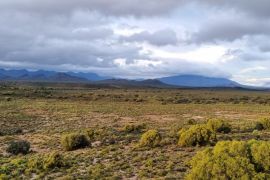 Montagu Camino