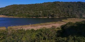 Fish Eagle House