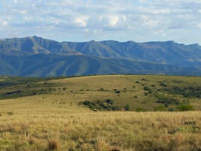 Mpofu Nature Reserve